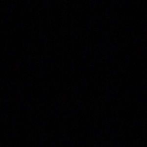 Meet your Posher, Rubi